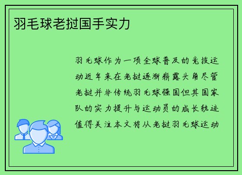 羽毛球老挝国手实力